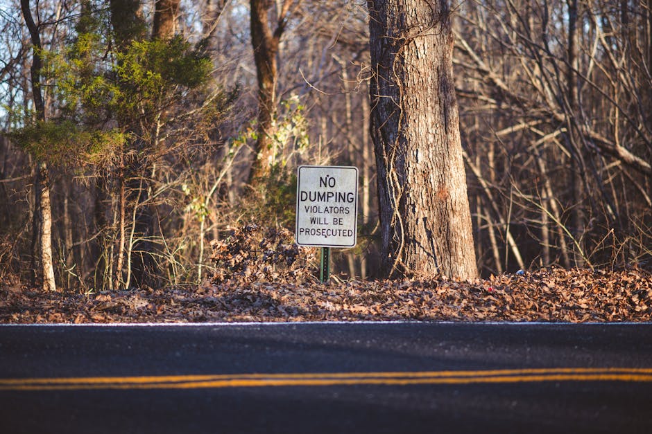 A roadside area in a wooded location featuring a white rectangular sign with black text that reads 'No Dumping Violators Will Be Prosecuted', mounted on a metal post near a large tree. The sign is positioned on a patch of ground covered with brown fallen leaves and small shrubs, adjacent to a paved road with yellow dashed lines. The background consists of numerous leafless trees and undergrowth, illuminated by natural light, indicating a scene in a rural or suburban environment. This image relates to house removals and relocation services by highlighting the importance of adhering to local dumping and waste disposal regulations during a home relocation or furniture transport process, supported by the presence of a professional moving company, Man With a Van New Addington.